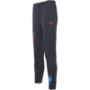 Neymar Jr Futebol treningsbukse &laquo;Dark Grey&raquo;