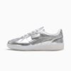 Palermo Chrome store barnesneakers