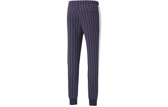 Pinstripe Casual Fleece Lined Long Pants Blå