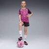 Premier League Brilliance fotballshorts til store barn