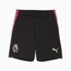 Premier League Brilliance fotballshorts til store barn