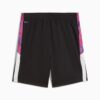 Premier League Brilliance fotballshorts til store barn