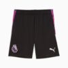 Premier League Brilliance herre fotballshorts