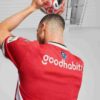 PSV Eindhoven 24/25 Herre Replica Hjemmedrakt
