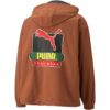 PUMA x Butter Goods Lett Pop Over Top Half Zip Hettegenser «Brun»