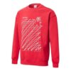 PUMA x Michael Lau Graphic langermede gensere med rund hals «Rød»