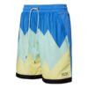 Scholarship Basketball Shorts &laquo;Blågrønn Gul&raquo;