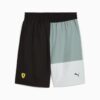Scuderia Ferrari Herre Livsstilshorts