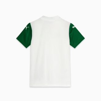 SE Palmeiras Torcedor ’25 Away Big Kids’ fotballdrakt