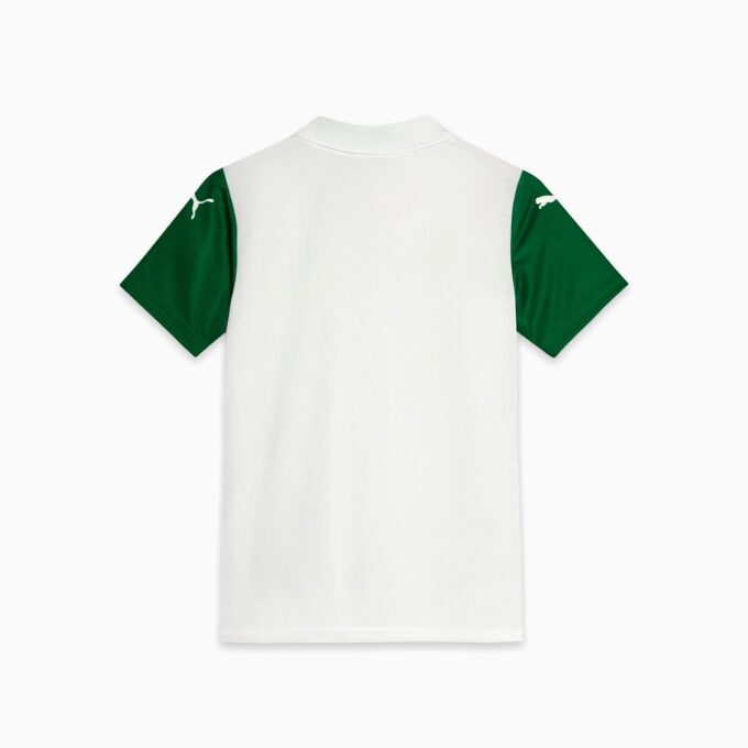 SE Palmeiras Torcedor ’25 Away Big Kids’ fotballdrakt