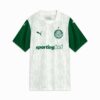 SE Palmeiras Torcedor ’25 Fotballdrakt for menn borte