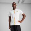 Senegal 2025 Herre Hjemmedrakt Replika Fotballdrakt