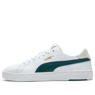Server Pro Lite &laquo;Deep Forest Green&raquo;
