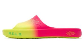 Shibui Cat Slide x Rick and Morty x LaMelo Ball «Eventyr»