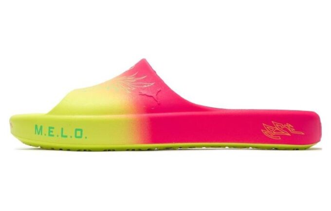 Shibui Cat Slide x Rick and Morty x LaMelo Ball «Eventyr»
