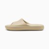 Shibui Cat Slides