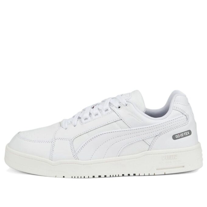 Slipstream Lo DC GORE-TEX «Trippelhvit»