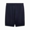 Sport Heritage herre 9″ shorts