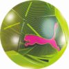 Stor katt minifotball