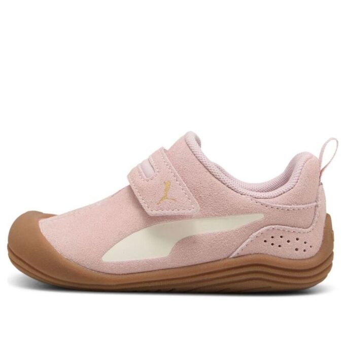 (TD) Kitten Premium «Lilla Mist»