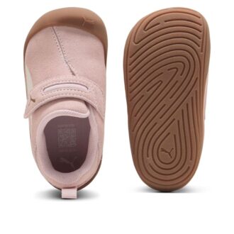 (TD) Kitten Premium «Lilla Mist»