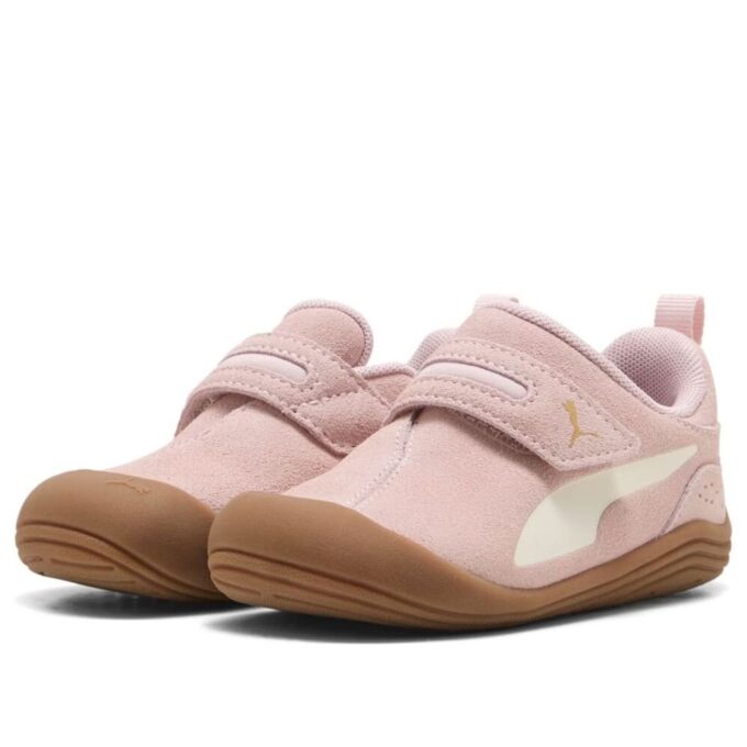 (TD) Kitten Premium «Lilla Mist»
