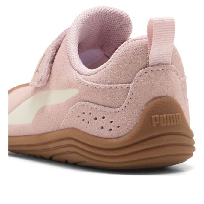 (TD) Kitten Premium «Lilla Mist»