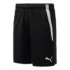 Team Liga Shorts «Svart»