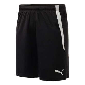 Team Liga Shorts «Svart»