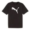 teamRISE Logo bomulls-T-skjorte «Svart»
