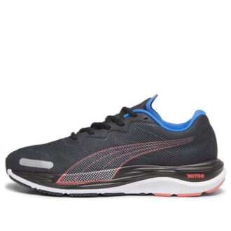 Velocity Nitro 2 «Black Fire Orchid Ultra Blue»