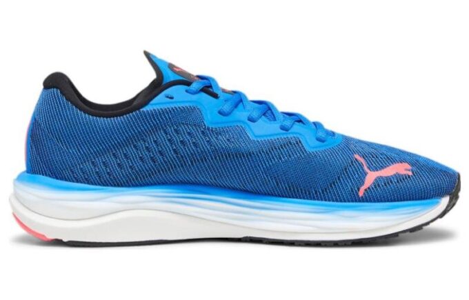 Velocity Nitro 2 &laquo;Ultra Blue Fire Orchid&raquo;