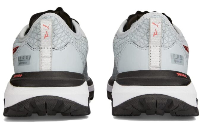 (WMNS) Voyage Nitro 2 GORE-TEX «Platina Grå»