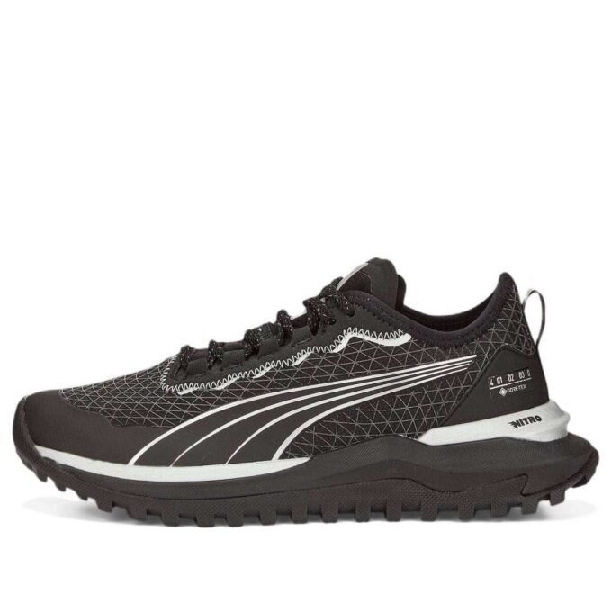 (WMNS) Voyage Nitro 2 GORE-TEX «Svart metallisk sølv»